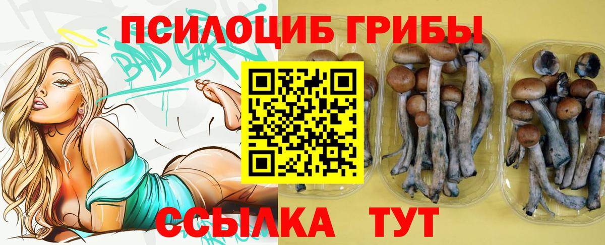 Галлюциногенные грибы прущие грибы Россия