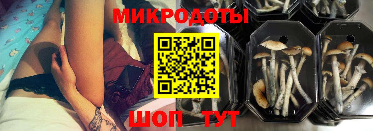 Псилоцибиновые грибы MAGIC MUSHROOMS  Псилоцибиновые грибы мицелий  как найти   Россия  Вход с VPN 